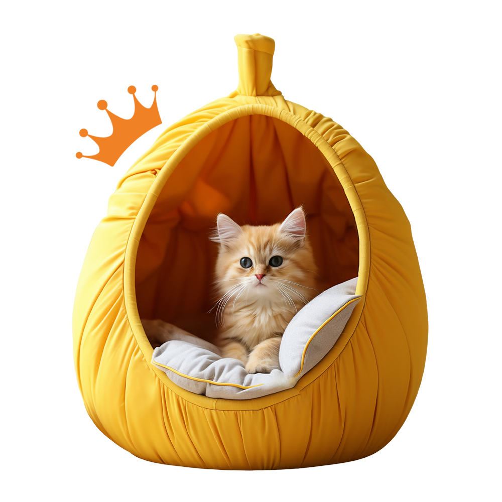 Crown Cat Hotel